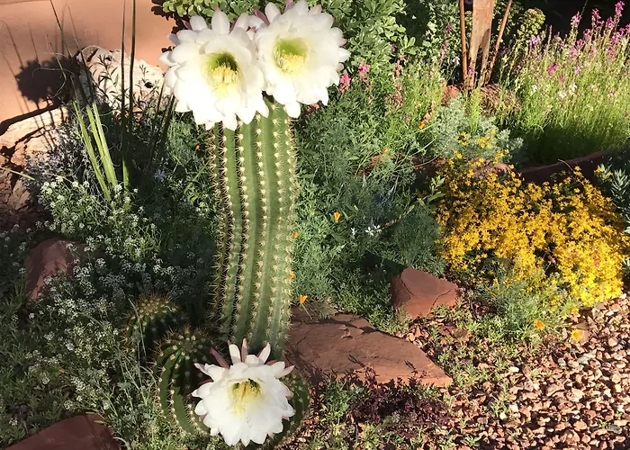 Casa 4* Sedona
